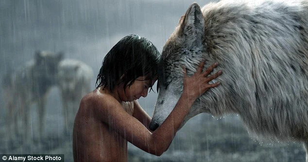 Link full: “Chú chó sói được huấn luyện để trả thù cho cô chủ của mình.”